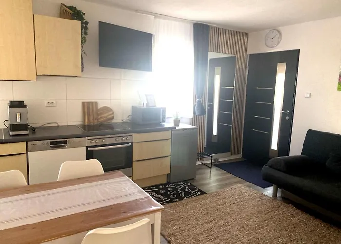 Ferienwohnung Venningen Apartamento